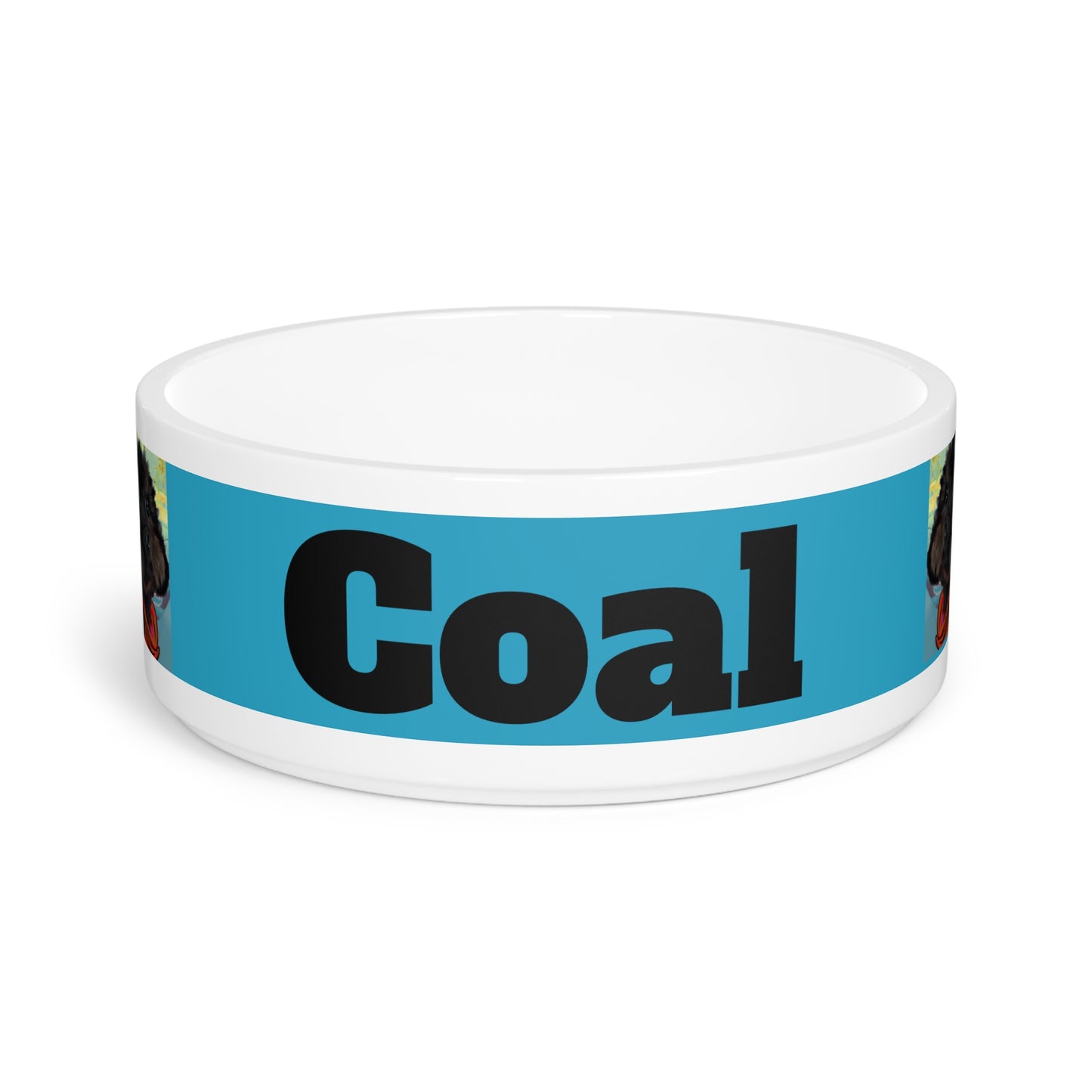 COAL Pet Bowl