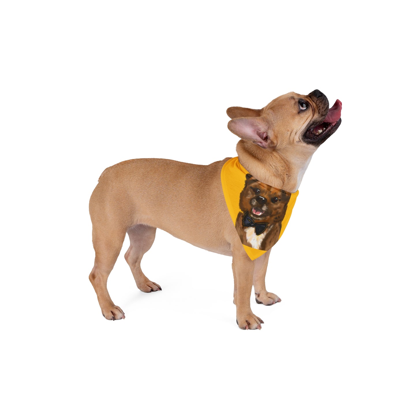 Custom Pet Bandana with Dog Portrait - Yellow Bowtie Design