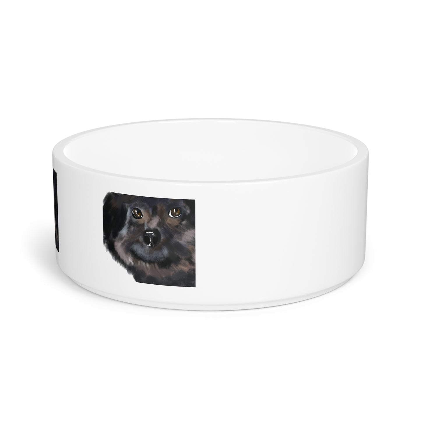 COAL Pet Bowl