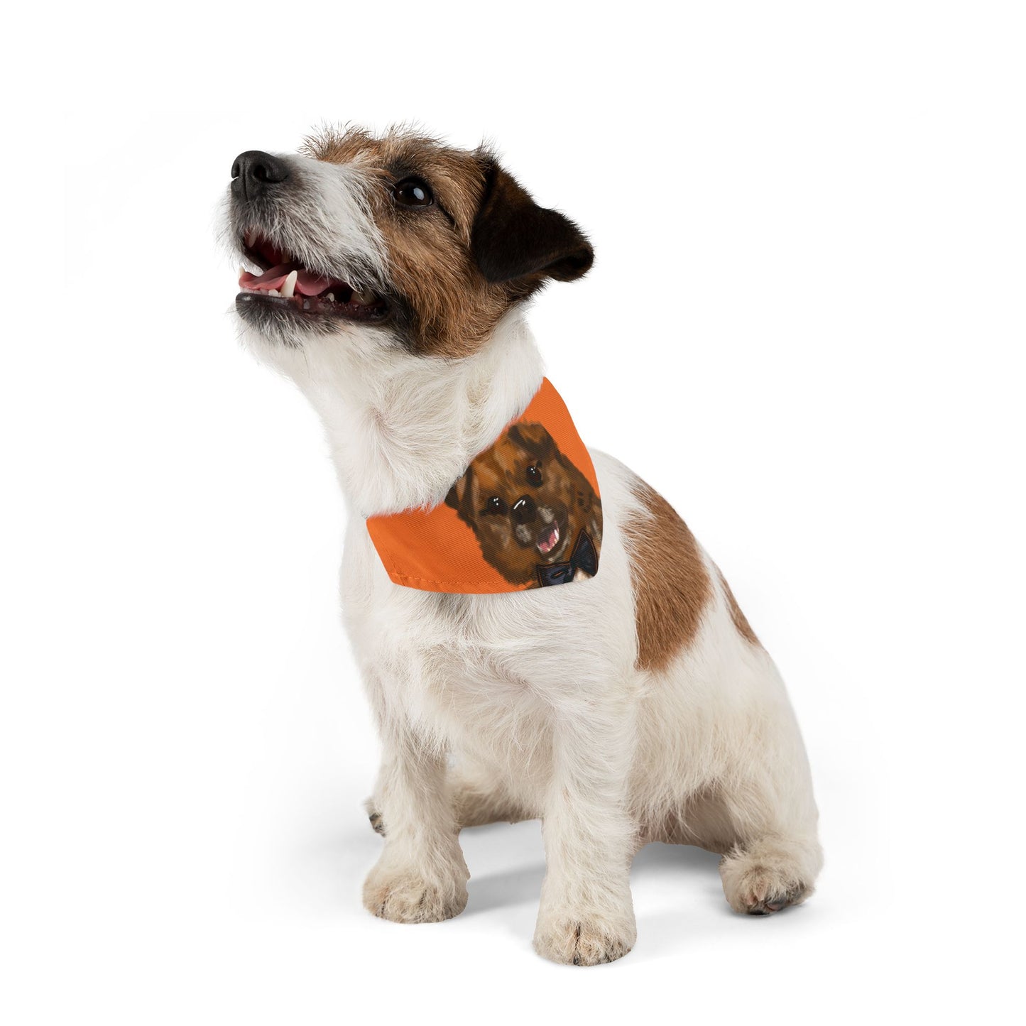 Baghlava Pet Bandana Collar with Dog Portrait