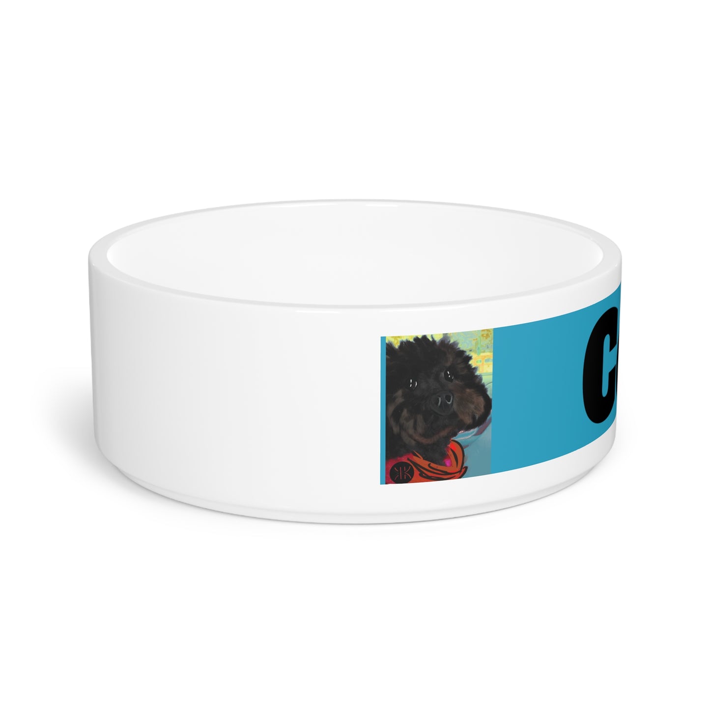 COAL Pet Bowl