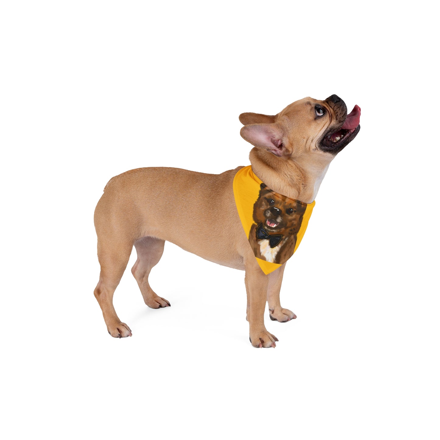 Custom Pet Bandana with Dog Portrait - Yellow Bowtie Design