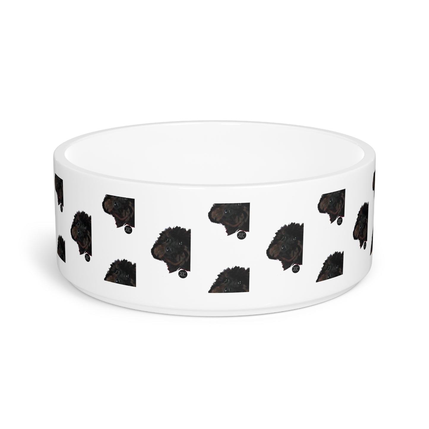 COAL Pet Bowl