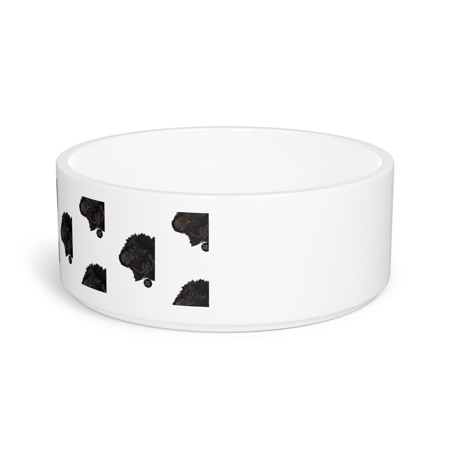 COAL Pet Bowl