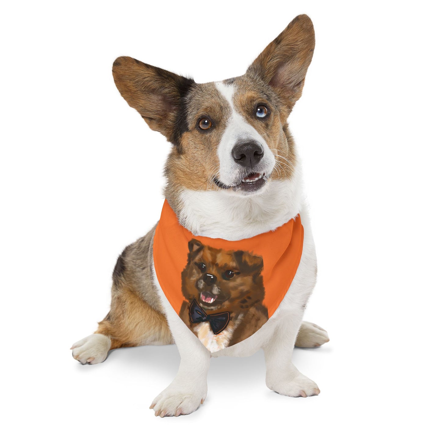 Baghlava Pet Bandana Collar with Dog Portrait