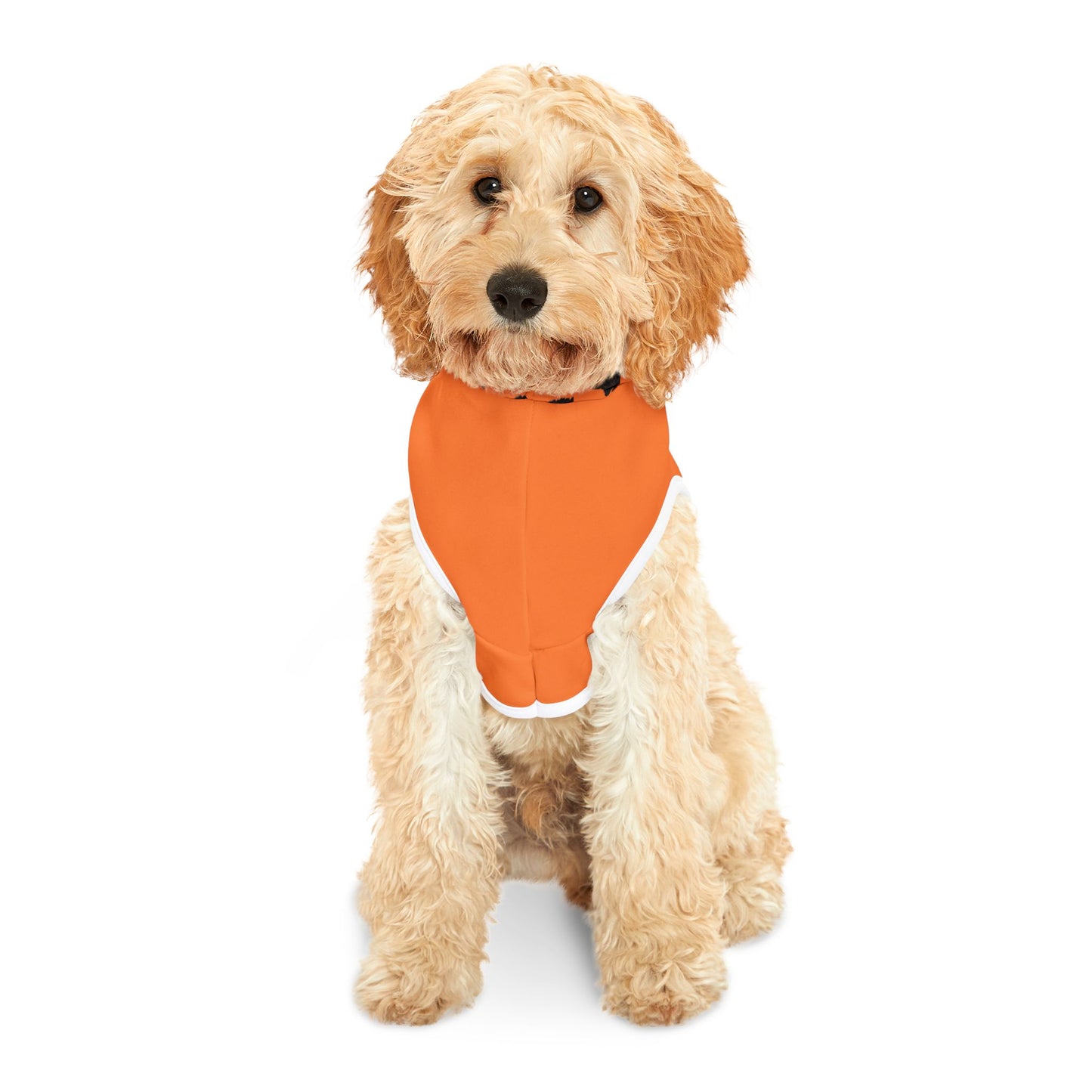 Playful Pet Hoodie with Fun Bear Print