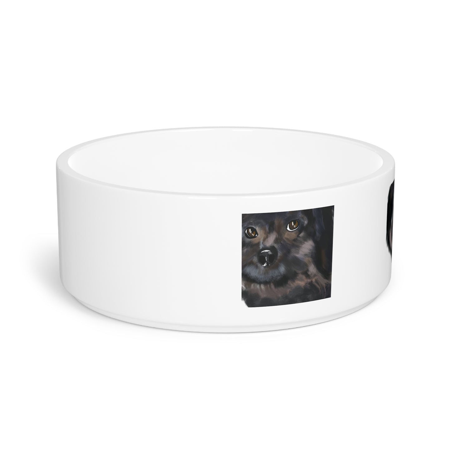 COAL Pet Bowl