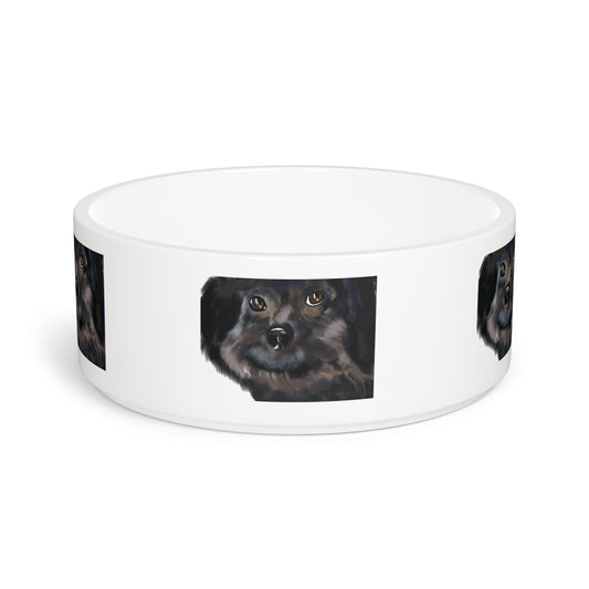 COAL Pet Bowl