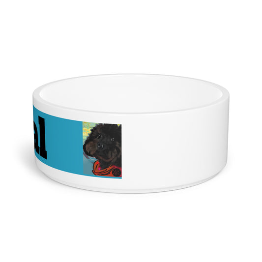 COAL Pet Bowl