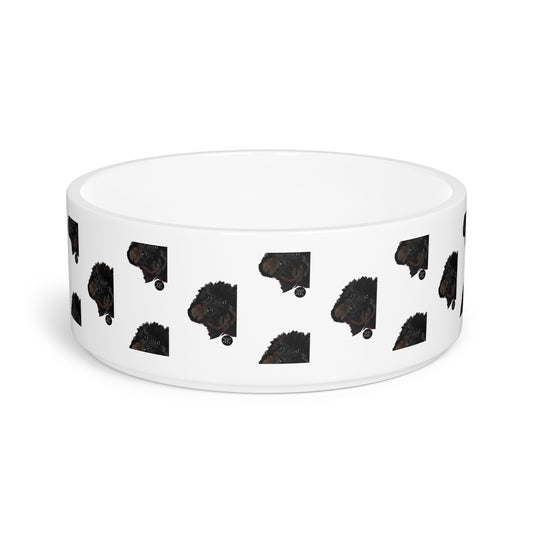 COAL Pet Bowl