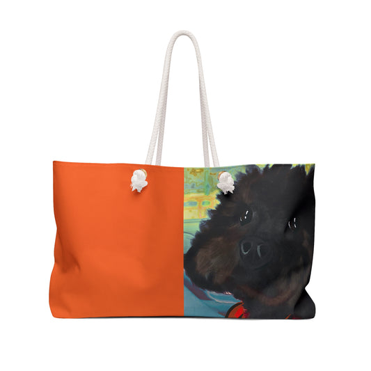 Coal Weekender Bag – Perfect for Pet Lovers