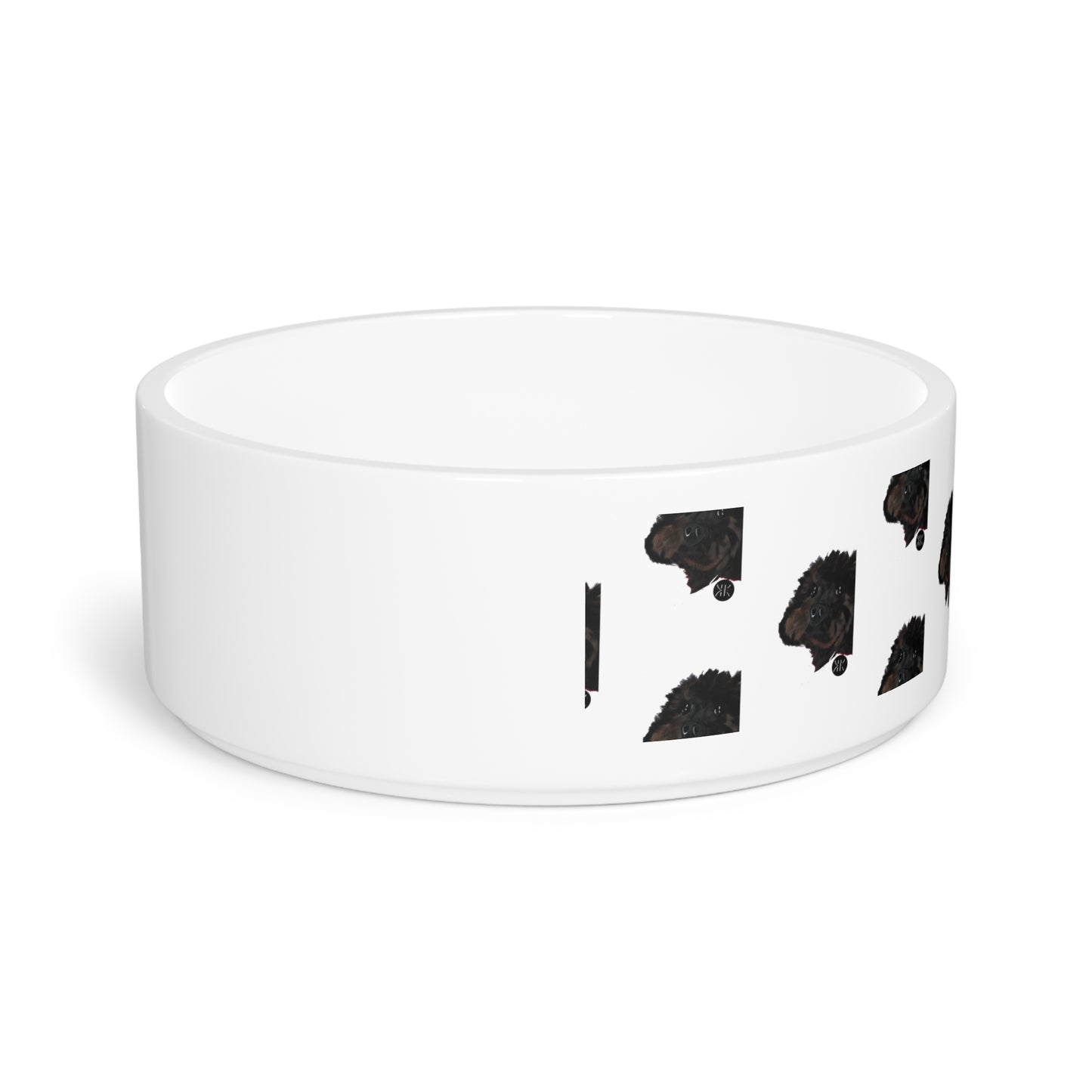 COAL Pet Bowl